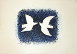 Couple D'Oiseaux