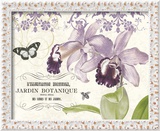 Jardin Botanique II