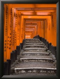 Torii Gates  Fushimi Inari Taisha Shrine  Kyoto  Honshu  Japan