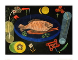 Around The Fish