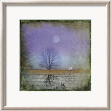 Moonlight in Vermont