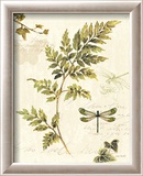 Ivies and Ferns III