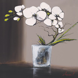 Swirls of White Orchids II