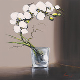 Swirls of White Orchids I