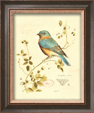 Gilded Songbird IV