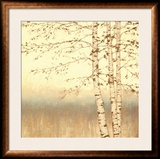 Birch Silhouette II