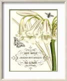 Jardin Botanique I