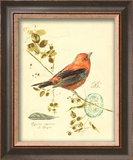 Gilded Songbird III