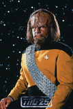 Star Trek: The Next Generation  Lt Commander Worf