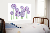 Purple Allium
