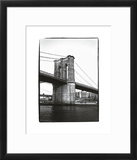Bridge  c1986