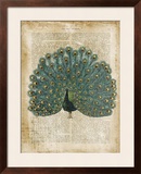 Antiquarian Birds V