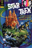 Star Trek: The Original Series Illustrated Cover  Trapped in a World that Does Not Exist