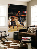 Denver Nuggets v Charlotte Bobcats: Boris Diaw and Carmelo Anthony