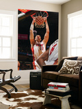Detroit Pistons v Miami Heat: Zydrunas Ilgauskas
