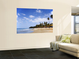 View of Luquillo Beach  Puerto Rico  Caribbean