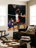 New York Knicks v Toronto Raptors: Ed Davis and Toney Douglas