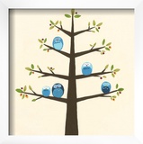 Orchard Owls II