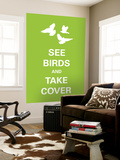 See Birds