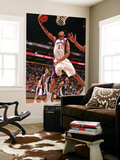 Memphis Grizzlies v Phoenix Suns: Josh Childress