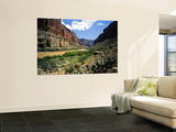 Looking Downriver From Nankoweap Canyon  Grand Canyon National Park  Arizona  USA