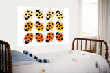 Orange Ladybug Family