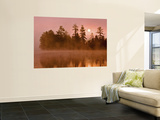 Sunrise on a Lake  Adirondack Park  New York  USA