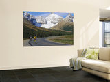 Road Bicycling on the Icefields Parkway  Banff National Park  Alberta  Canada