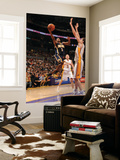 Indiana Pacers v Los Angeles Lakers: TJ Ford and Pau Gasol