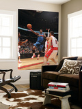Washington Wizards v Toronto Raptors: Andray Blatche and Linas Kleiza