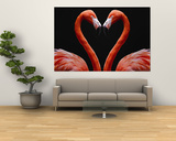 Flamingos