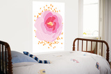 Pink Peony