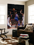 New York Knicks v Los Angeles Clippers: Toney Douglas