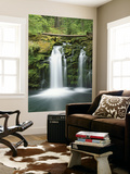 View of Whitehorse Falls  Umpqua National Forest  Oregon  USA