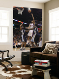 Memphis Grizzlies v Phoenix Suns: Josh Childress and Sam Young