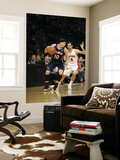 Atlanta Hawks v Toronto Raptors: Mike Bibby and Jose Calderon