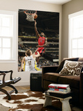 Toronto Raptors v Indiana Pacers: Amir Johnson and Mike Dunleavy