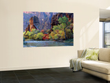 Fall Foliage along Virgin River  Zion National Park  Utah  USA