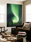 Aurora Borealis  Fairbanks  Alaska  USA