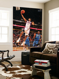 Washington Wizards v Phoenix Suns: Josh Childress