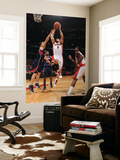 Atlanta Hawks v Toronto Raptors: Linas Kleiza and Zaza Pachulia