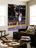 Indiana Pacers v Sacramento Kings: Darren Collison and Francisco Garcia