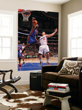 New York Knicks v Los Angeles Clippers: Ronny Turiaf and Blake Griffin