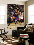 Los Angeles Lakers v Toronto Raptors: Matt Barnes and Julian Wright