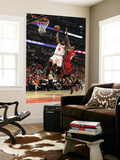 Miami Heat v Chicago Bulls - Game Five  Chicago  IL - MAY 26: Luol Deng and LeBron James