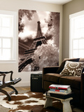 Eiffel Tower  Paris  France