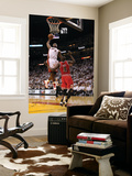 Chicago Bulls v Miami Heat - Game FourMiami  FL - MAY 24: LeBron James and Luol Deng