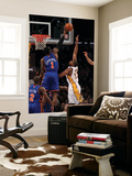 New York Knicks v Los Angeles Lakers  Los Angeles  CA - January 09: Amar'e Stoudemire and Andrew By