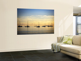 Boats in Airlie Bay at Dawn