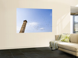 Low Angle View of Great Mosque Minaret and Flock of Birds